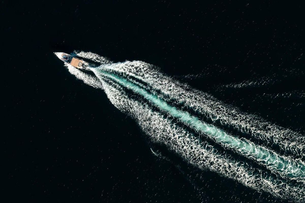 Китовая разведка 80%: Где море раскрывает секреты